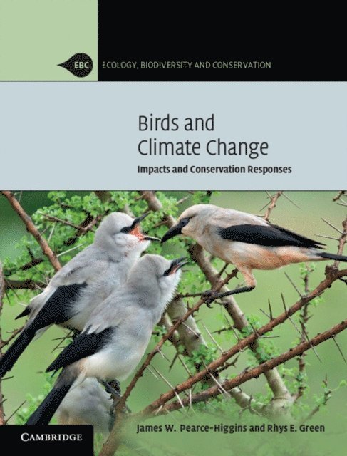Rhys E. Green, James W. Pearce-Higgins - Birds and Climate Change, E-bok