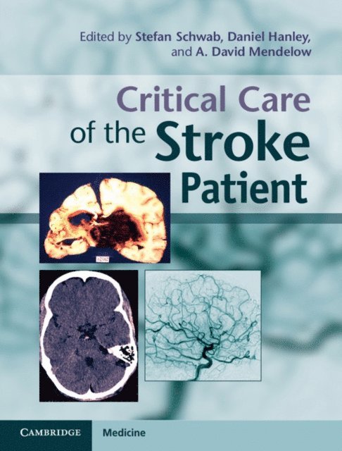A. David Mendelow, Daniel Hanley, Stefan Schwab - Critical Care of the Stroke Patient, E-bok
