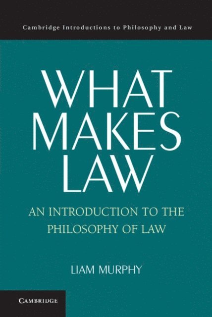 Liam Murphy - What Makes Law, E-bok