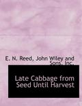 Late Cabbage from Seed Until Harvest