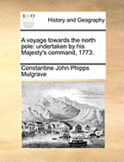 voyage towards the north pole