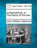 Jurisprudence, or, The theory of the law.