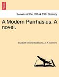 A Modern Parrhasius. a Novel.
