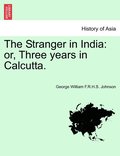 The Stranger in India