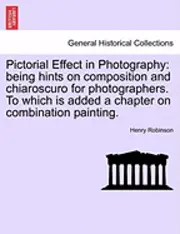 Henry Robinson - Pictorial Effect in Photography: Being Hints on Composition and Chiaroscuro for Photographers. to Which Is Added a Chapter on Combination Painting., Häftad. Tillgänglighet: Lägg i varukorg