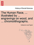 The Human Race, ... Illustrated by ... Engravings on Wood, and ... Chromolithographs.