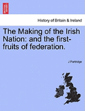The Making of the Irish Nation