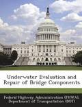 Underwater Evaluation and Repair of Bridge Components