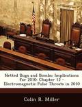 Netted Bugs and Bombs: Implications for 2010: Chapter 12 - Electromagnetic Pulse Threats in 2010