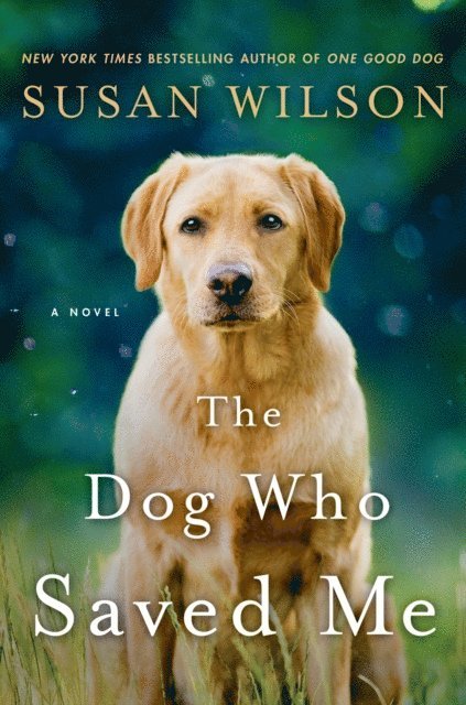 Susan Wilson - Dog Who Saved Me, E-bok