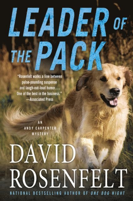 David Rosenfelt - Leader of the Pack, E-bok