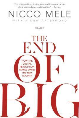 Nicco Mele - The End of Big: How the Digital Revolution Makes David the New Goliath, Häftad