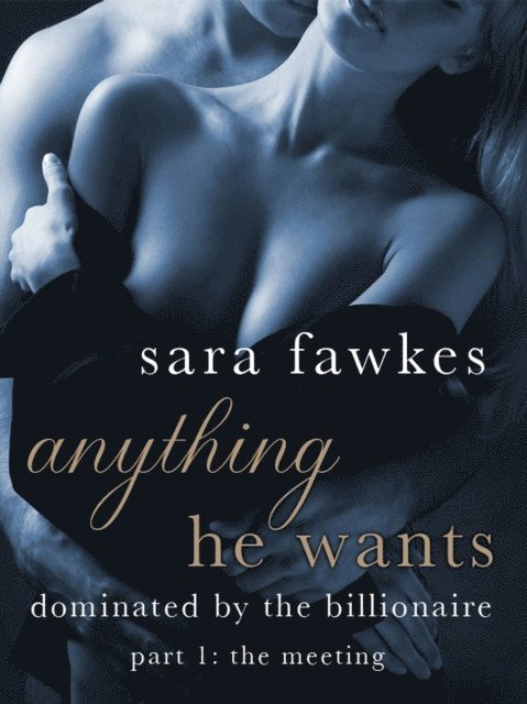 Sara Fawkes - Anything He Wants: The Meeting (#1), E-bok