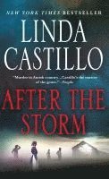 After the Storm