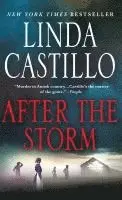 After the Storm