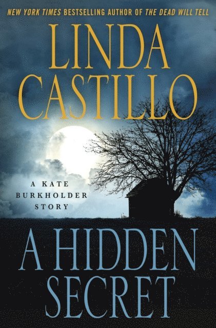 Linda Castillo - Hidden Secret, E-bok