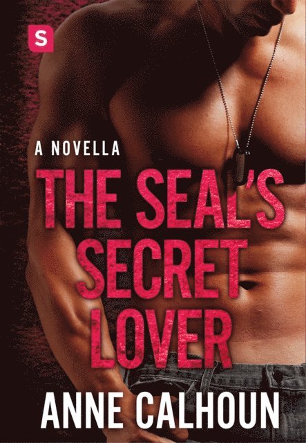 Anne Calhoun - SEAL's Secret Lover, E-bok