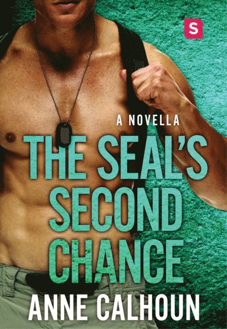 Anne Calhoun - SEAL's Second Chance, E-bok