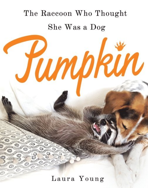 Laura Young - Pumpkin: The Raccoon Who Thought She Was a Dog, E-bok