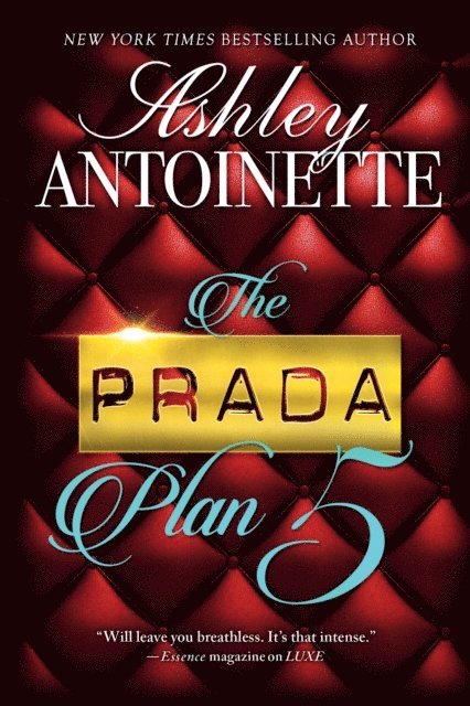 Ashley Antoinette - Prada Plan 5, E-bok