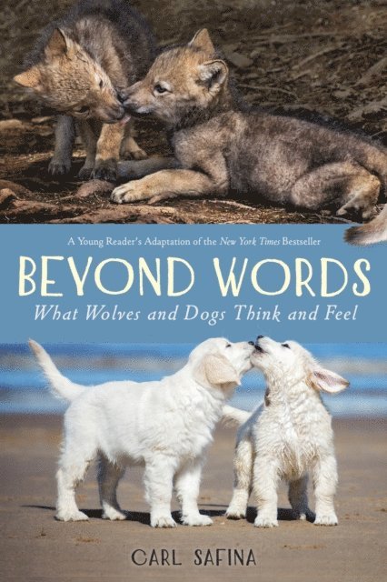 Carl Safina - Beyond Words: What Wolves and Dogs Think and Feel (A Young Reader's Adaptation), E-bok