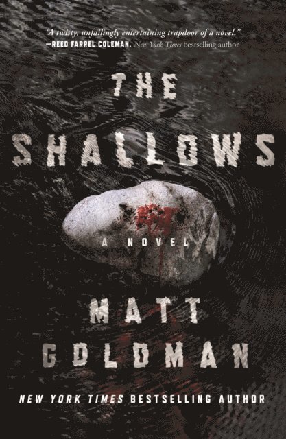 Matt Goldman - Shallows, E-bok