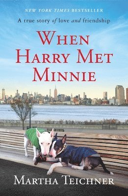 Martha Teichner - When Harry Met Minnie, Häftad. Tillgänglighet: Lägg i varukorg