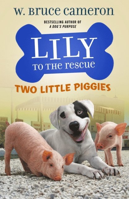 W. Bruce Cameron - Lily to the Rescue: Two Little Piggies, E-bok. Tillgänglighet: Lägg i varukorg