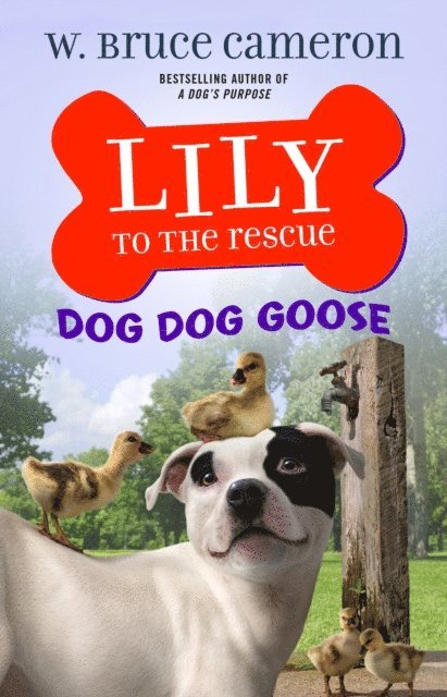 W. Bruce Cameron - Lily to the Rescue: Dog Dog Goose, E-bok