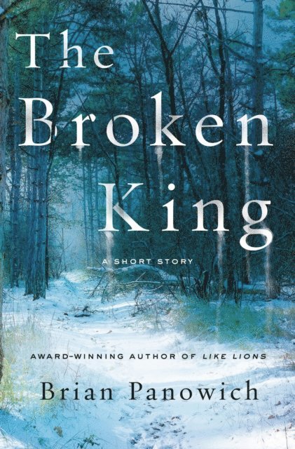 Brian Panowich - Broken King, E-bok