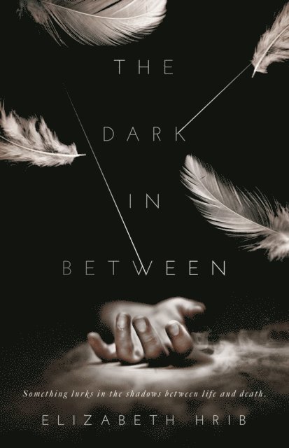 Elizabeth Hrib - Dark In-Between, E-bok