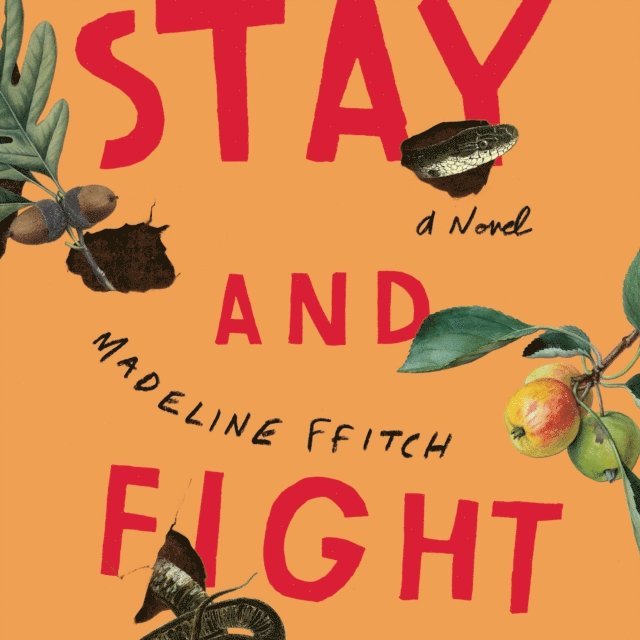 Madeline ffitch - Stay and Fight, Ljudbok
