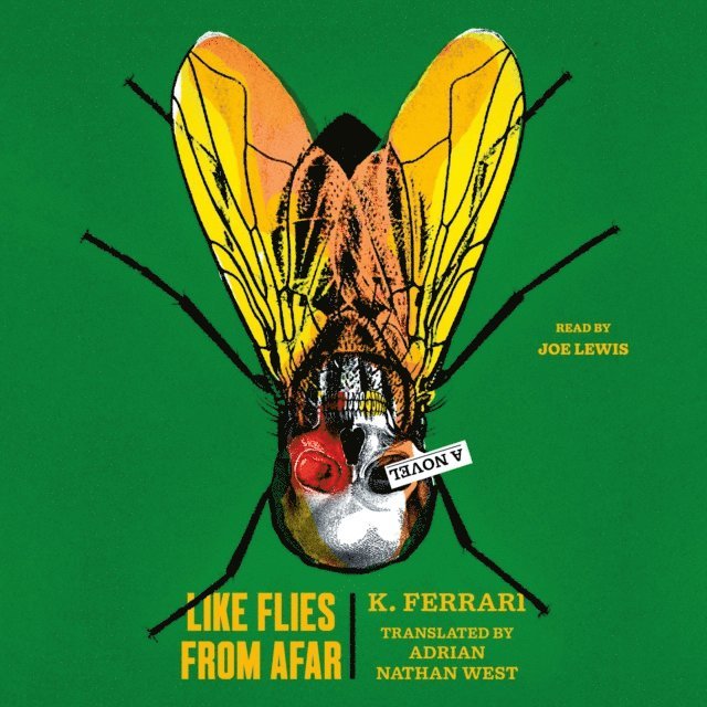 K. Ferrari - Like Flies from Afar, Ljudbok