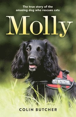 Colin Butcher - Molly: The True Story of the Amazing Dog Who Rescues Cats, Häftad