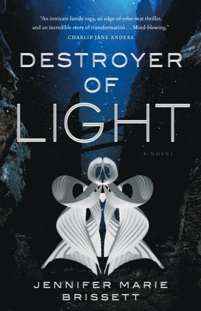 Jennifer Marie Brissett - Destroyer of Light, E-bok