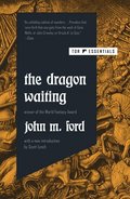 Dragon Waiting