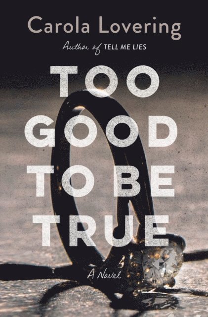 Carola Lovering - Too Good to Be True, E-bok