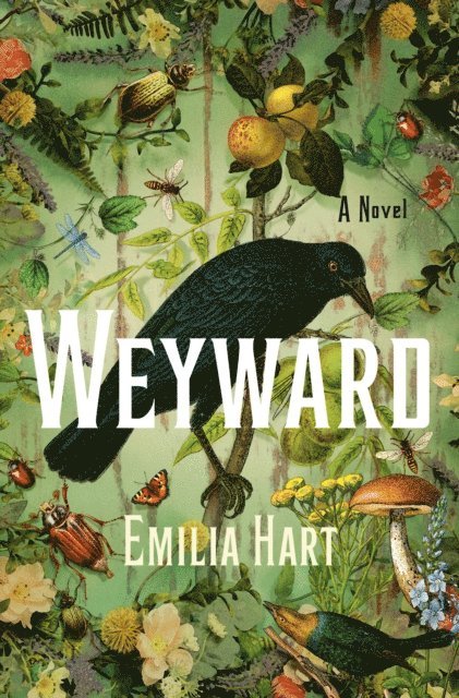 Emilia Hart - Weyward, E-bok