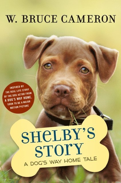 W. Bruce Cameron - Shelby's Story, E-bok