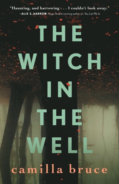 Camilla Bruce - Witch In The Well, E-bok