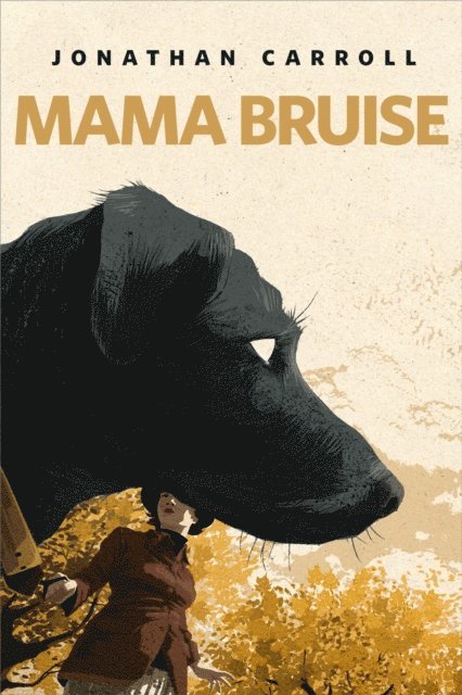 Jonathan Carroll - Mama Bruise, E-bok