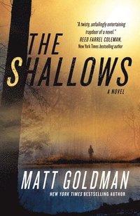 The Shallows: A Nils Shapiro Novel