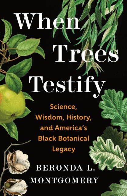 Beronda L. Montgomery - When Trees Testify, E-bok
