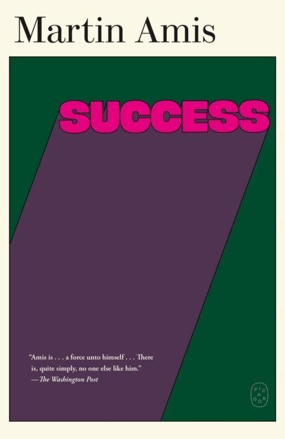 Martin Amis - Success, E-bok