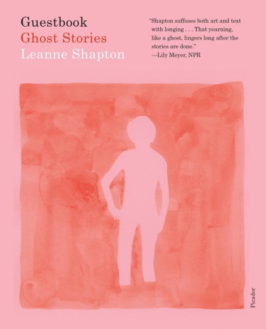 Leanne Shapton - Guestbook, E-bok