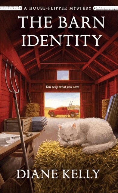 Diane Kelly - Barn Identity, E-bok