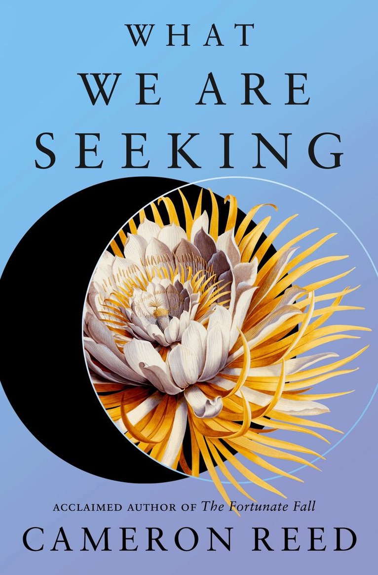 Cameron Reed - What We Are Seeking, Inbunden