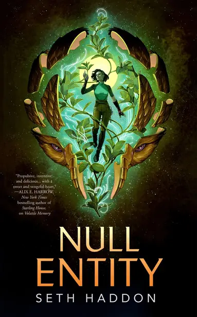 Null Entity