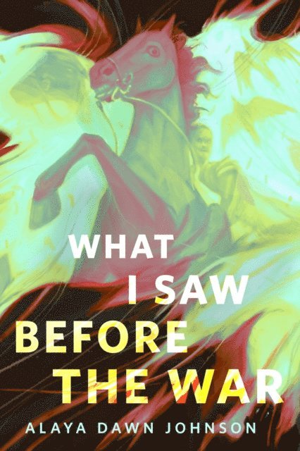 Alaya Dawn Johnson - What I Saw Before the War, E-bok