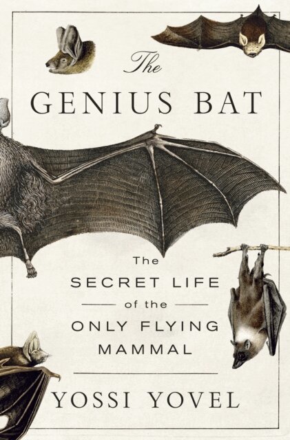 Yossi Yovel - Genius Bat, E-bok